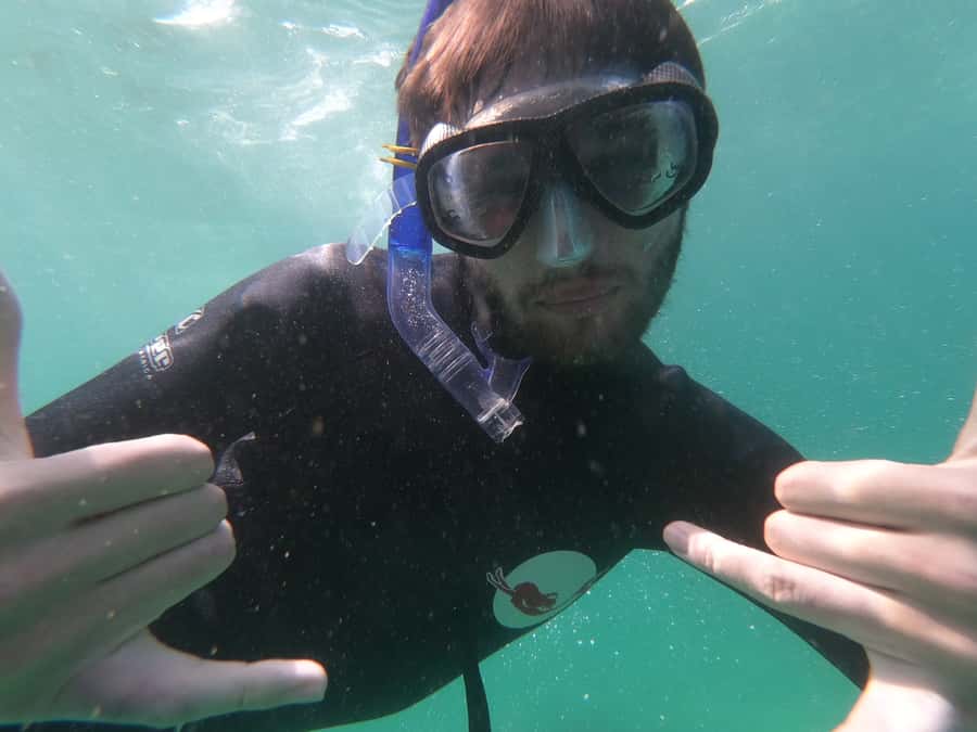 Plettenberg Bay: Seal Swimming Experience - How to make the most of your 90 minutes