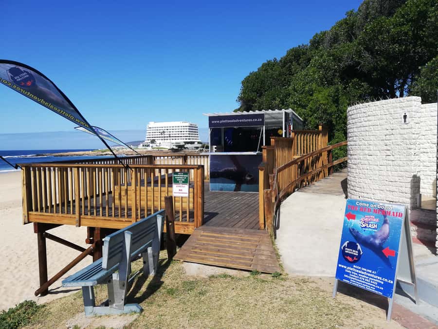 Plettenberg Bay: Seal Swimming Experience - Getting ready with wetsuits, masks, and fins
