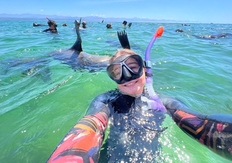 Plettenberg Bay: Seal Viewing Boat Trip - Key points at a glance