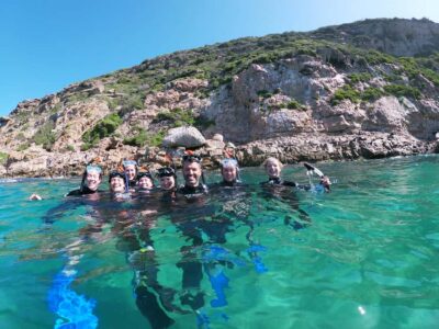 Swim with Seals