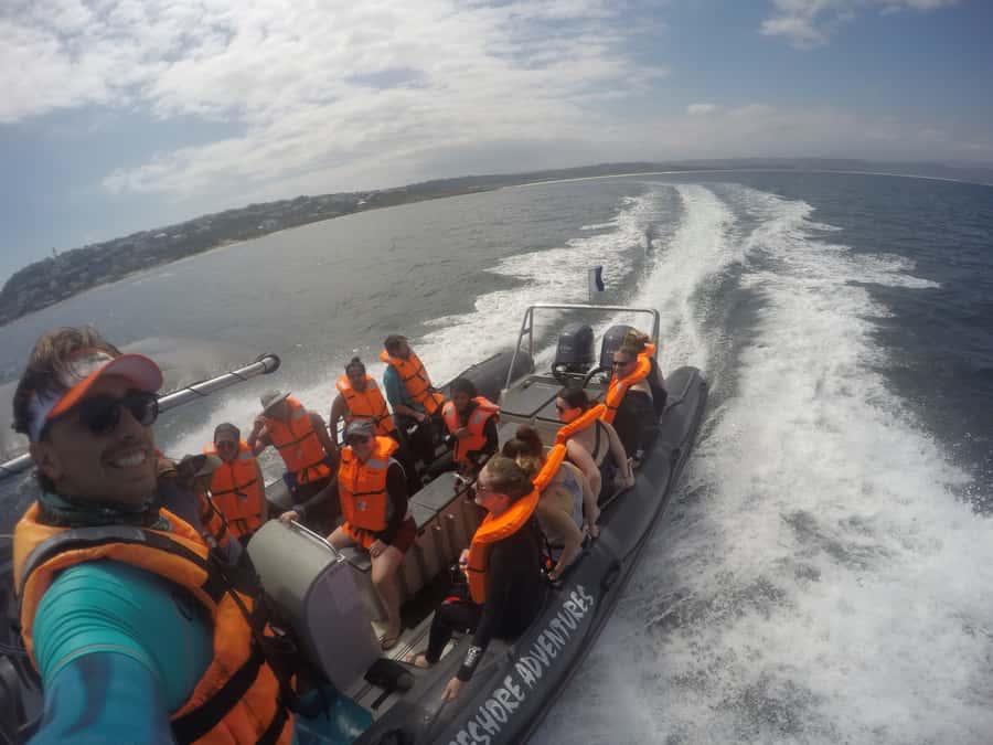 Plettenberg Bay: Swim with Seals - What the seal swim is really like