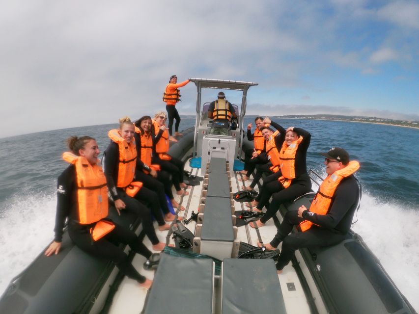 Plettenberg Bay: Swim with Seals - Practical tips for a better outing