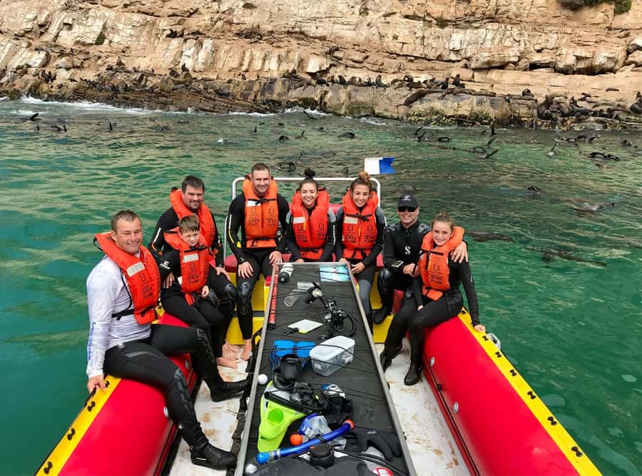 Plettenberg Bay: Swim with the Seals - A dry option for non-swimmers and cautious participants