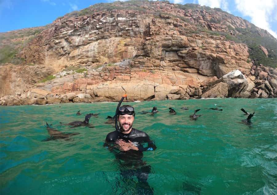 Plettenberg Bay: Swim with the Seals - Safety, wildlife rules, and the rabies update