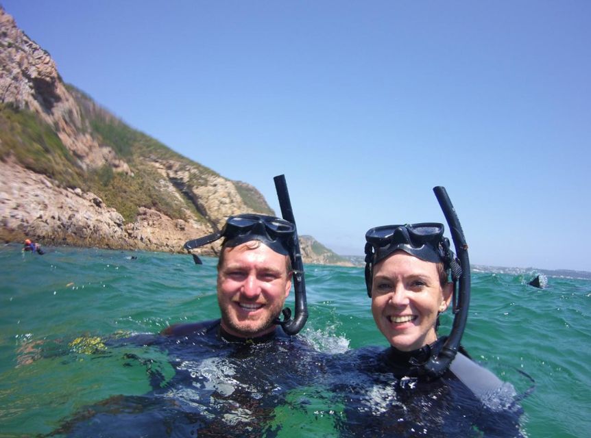Plettenberg Bay: Swim with the Seals - Photos, equipment, and the practical finish