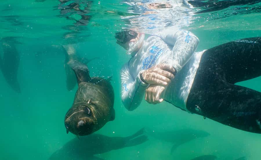 Plettenberg Bay: Swim with the Seals - From Beacon Island Resort to the launch point