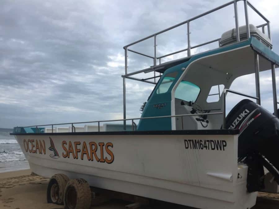 Plettenberg Bay: Whale Watching Boat Cruise - Who should book this cruise