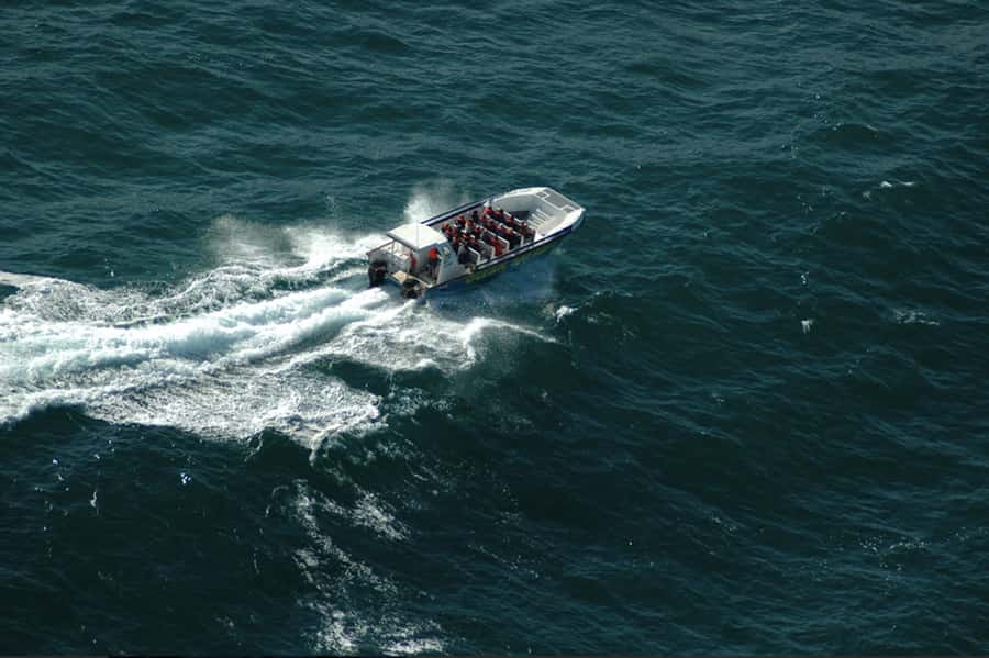 Plettenberg Bay: Whale Watching Boat Cruise - Two hours of searching the Plettenberg Bay coast
