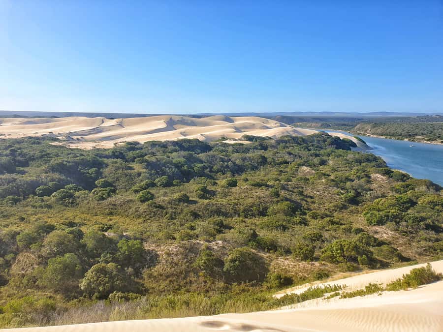 Port Elizabeth: 2-Day Addo Elephant Park Safari - The full-day Addo game drive