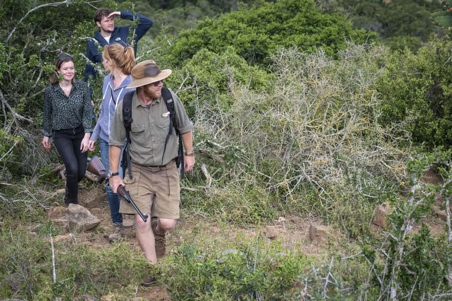Port Elizabeth: 2-Day Addo Elephant Park Safari - FAQ