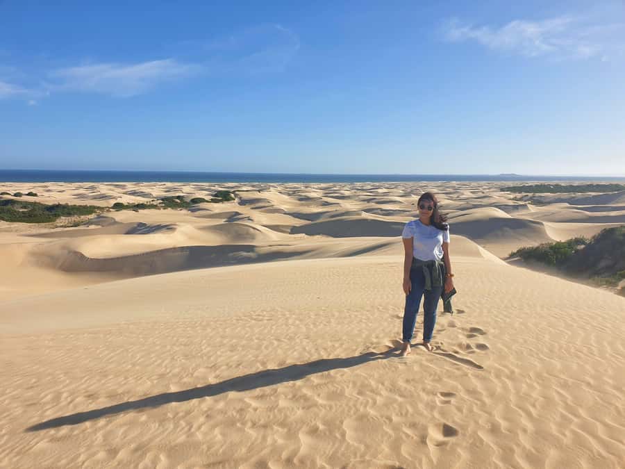 Port Elizabeth: 2-Day Addo Elephant Park Safari - The overnight stay and included meals