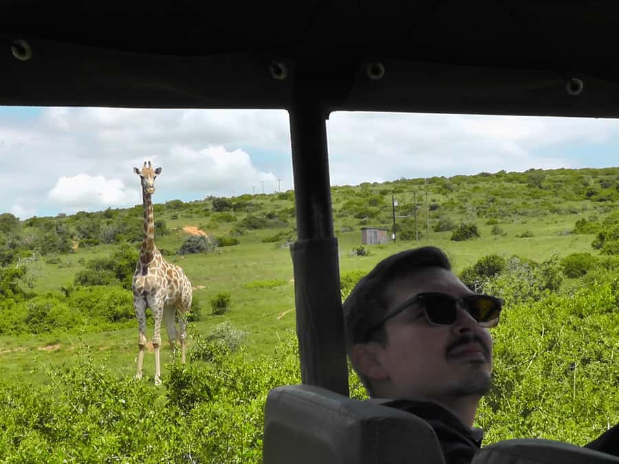 Port Elizabeth:2-Day Schotia Safaris & Addo Wildlife Reserve - From Port Elizabeth to the Addo area