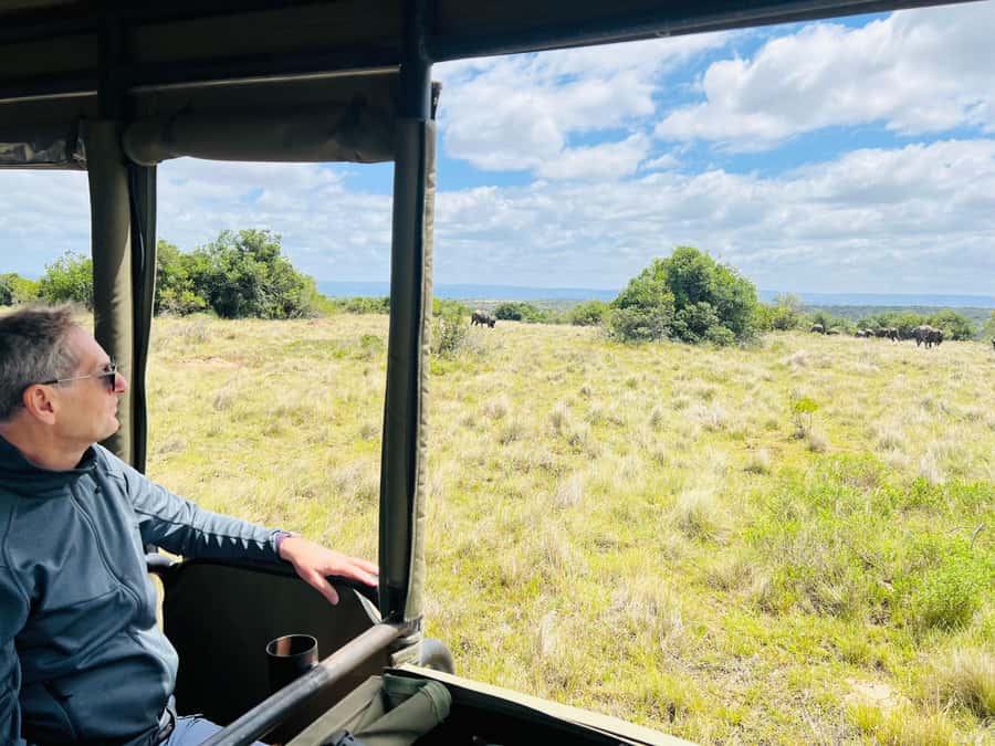 Port Elizabeth: 3-Day Addo Elephant National Park Safari - Key points before you book