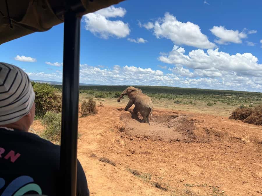 Port Elizabeth: 3-Day Addo Elephant National Park Safari - Sunset safari in the private reserve