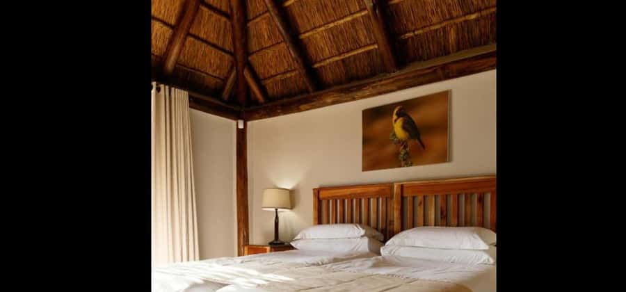 Port Elizabeth: 3-Day Addo Elephant National Park Safari - The elephant or giraffe walking encounter
