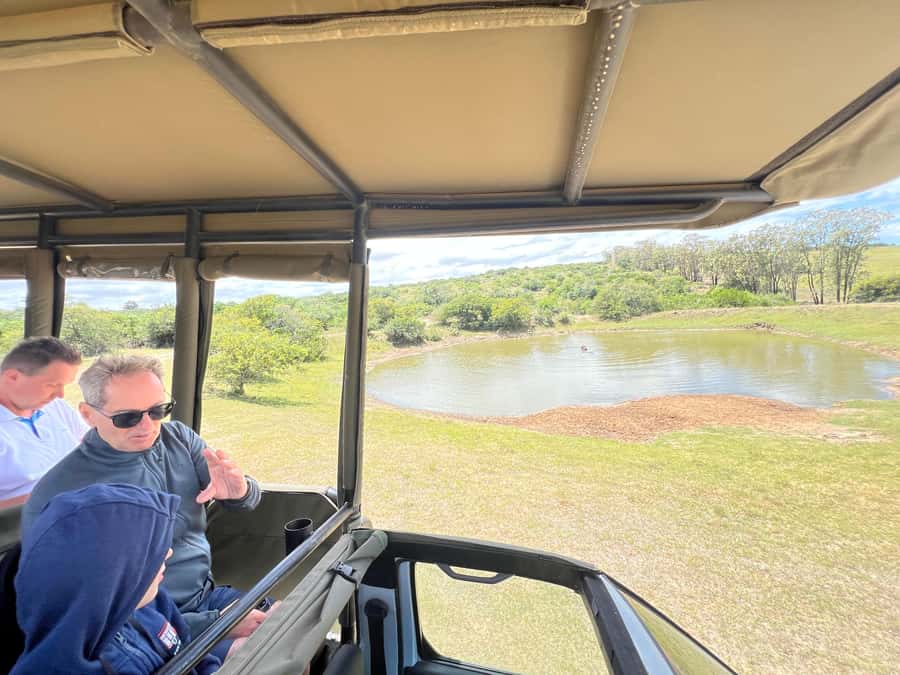 Port Elizabeth: 3-Day Addo Elephant National Park Safari - Accommodation, meals, and comfort
