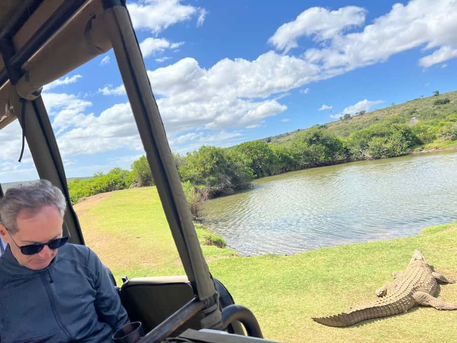 Port Elizabeth: 3-Day Addo Elephant National Park Safari - Leaving Port Elizabeth for the Sunday’s River Valley