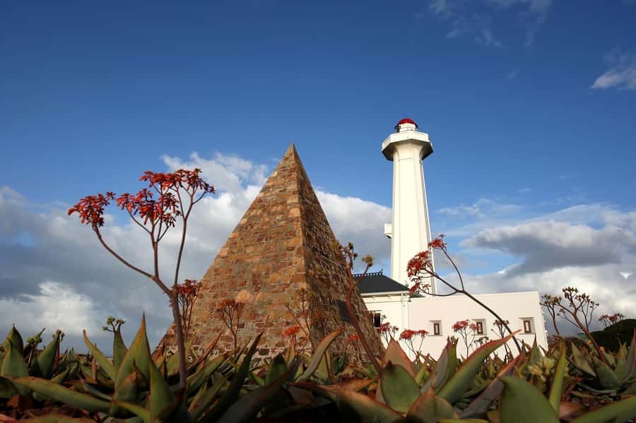 Port Elizabeth: 4x4 Wildlife Safari & City Sightseeing Tour - Key points at a glance