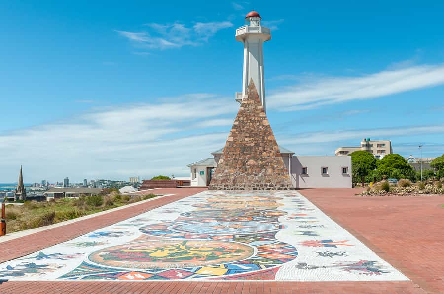 Port Elizabeth: 4x4 Wildlife Safari & City Sightseeing Tour - What to bring and who should skip it