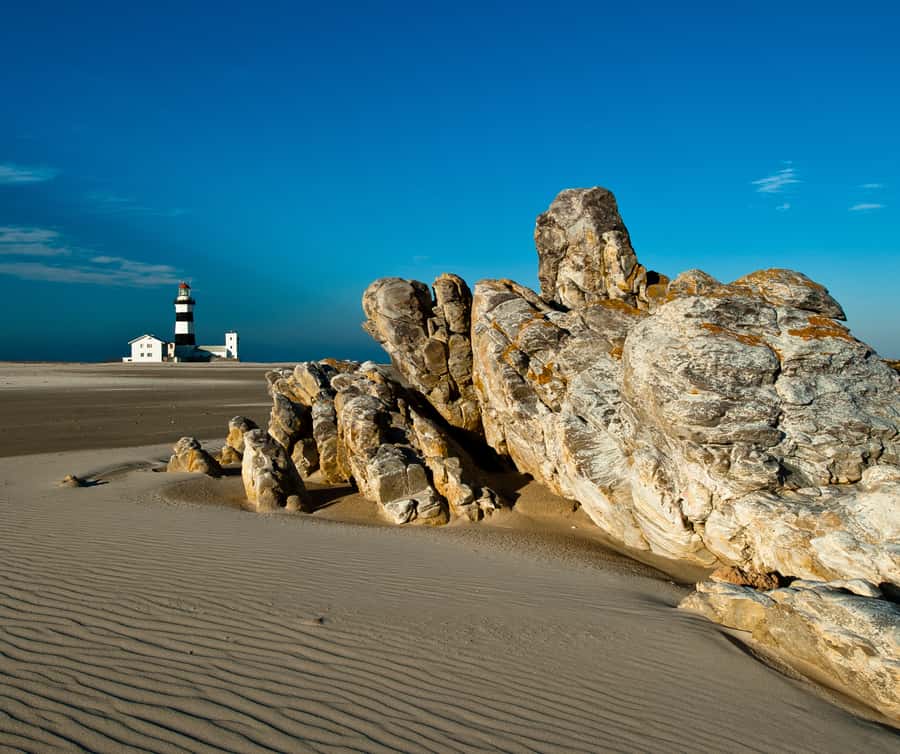 Port Elizabeth: 4x4 Wildlife Safari & City Sightseeing Tour - Wezandla crafts and a first look at local life