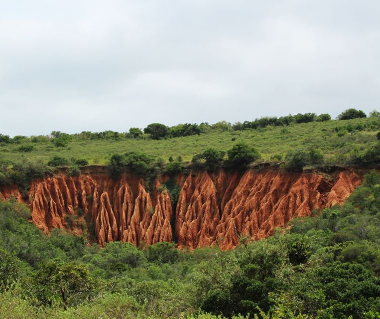 Port Elizabeth: Addo Elephant Park Shore Excursion with BBQ - Who will enjoy this Addo day most