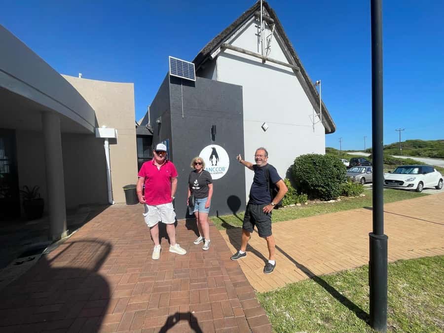 Port Elizabeth: City and Coastal Tour - Key points to know before you book