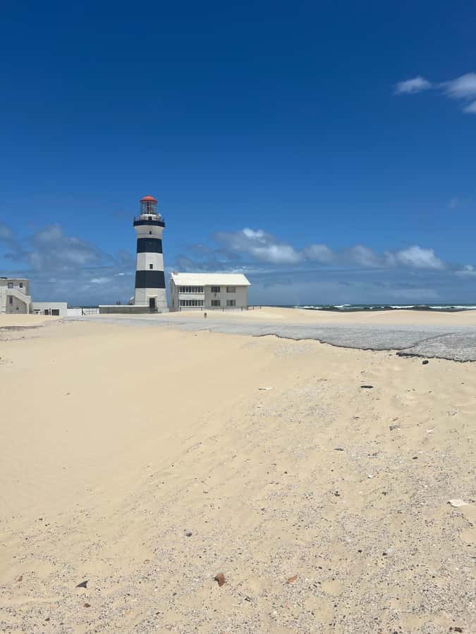Port Elizabeth: City and Coastal Tour - Donkin Reserve and the city center