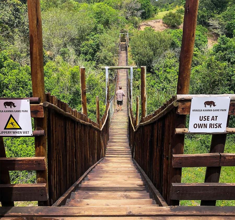 Port Elizabeth:Kragga Kamma Private game reserve safari - A short safari close to Port Elizabeth