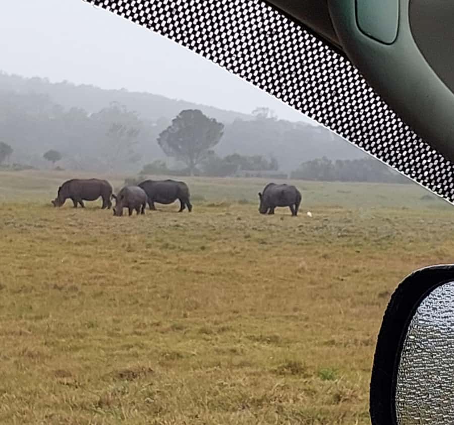 Port Elizabeth:Kragga Kamma Private game reserve safari - The drive from town and arrival at Kragga Kamma