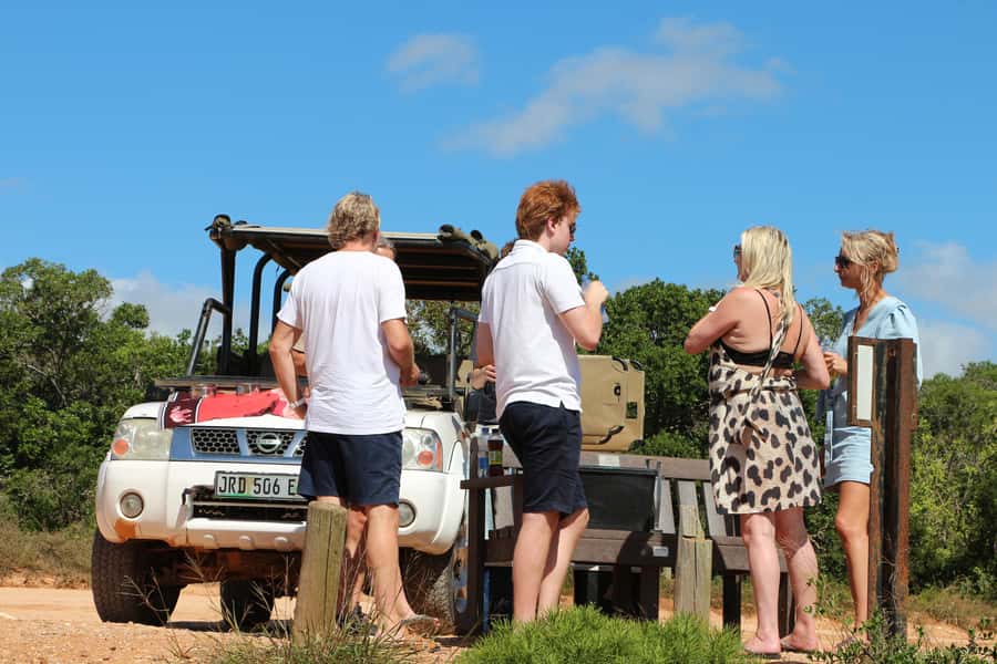 Port Elizabeth: Schotia Private Game Reserve Safari - The Open Vehicle Changes the Feel of the Safari