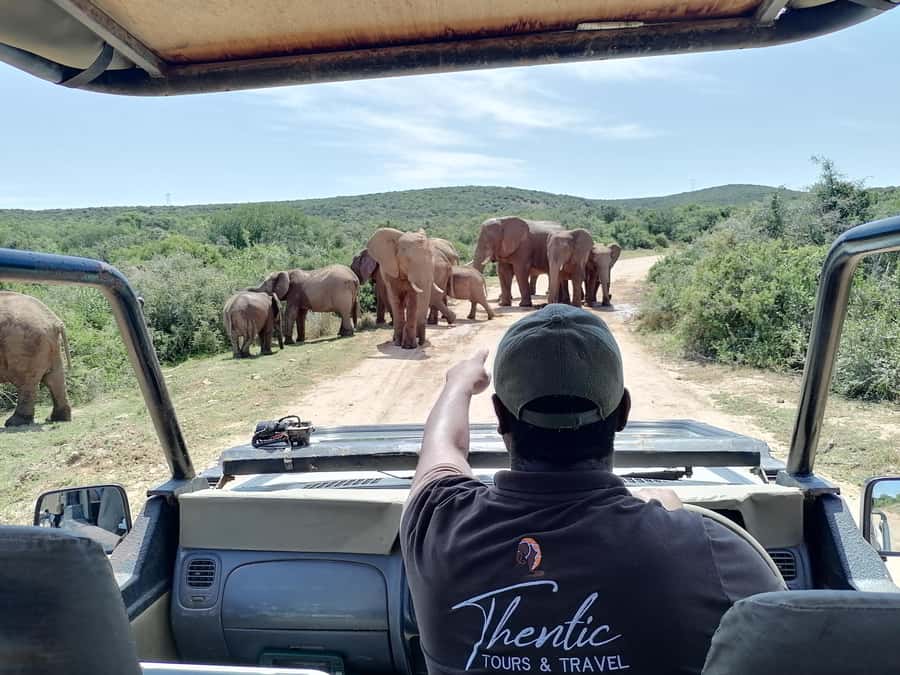 Port Elizabeth: Schotia Private Game Reserve Safari - Learning From a Ranger Like Chen