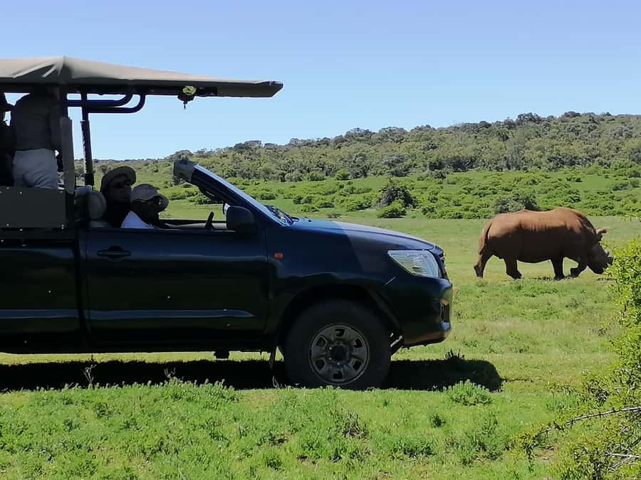 Port Elizabeth: Schotia Private Game Reserve Safari - Who Will Enjoy This Most?