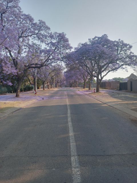 Pretoria half day tour - What the Guide Can Add