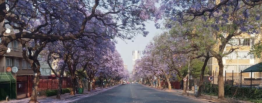 Pretoria: Pretoria City Tour and Cullinan Diamond Mine Tour - Church Square in the city center