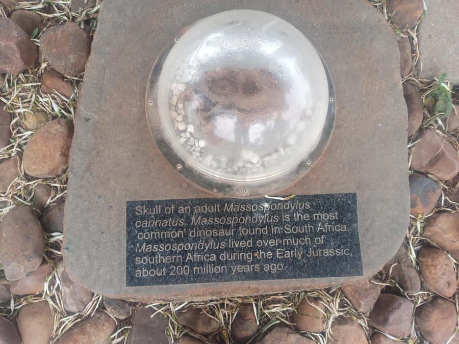 Pretoria/Sandton: Cradle of Humankind & Sterkfontein Caves - The guide can shape the whole day
