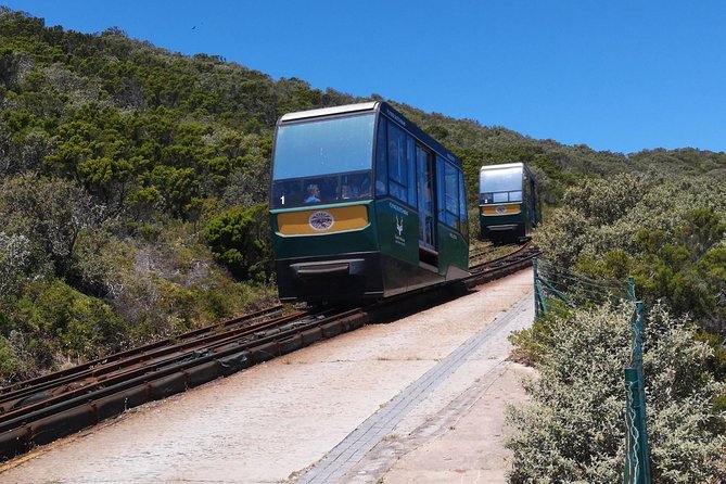 Private Cape of Good Hope and Penguins tour from Stellenbosch. - Bo-Kaap and the city finish