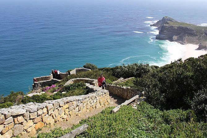 Private Cape of Good Hope and Penguins Tour with Luxury Mercedes or BMW Vehicle - Cape Point Vineyards for a scenic wine break
