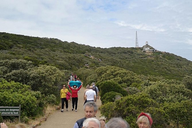 Private Cape of Good Hope Cape Point Penguin Kirstenbosch Tour. - Hout Bay, seals, and the road to Noordhoek