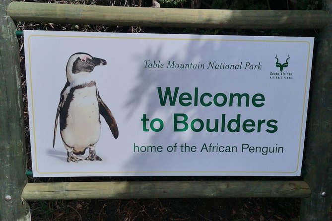 Private Cape of Good Hope Cape Point Penguin Kirstenbosch Tour. - Cape of Good Hope and Cape Point