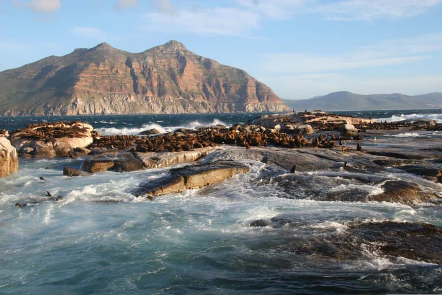 Private Cape of Good Hope Guided Tour - Key points at a glance