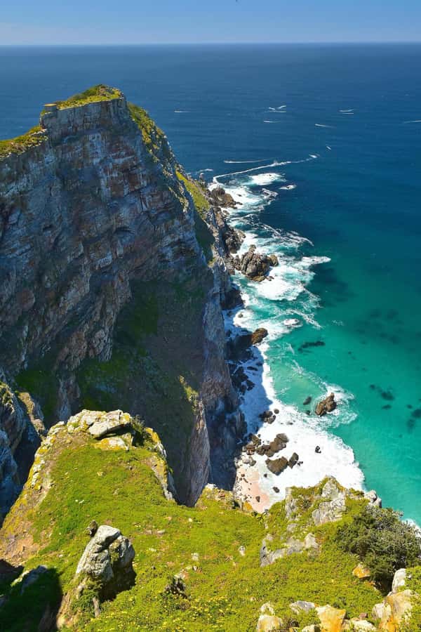 Private Cape of Good Hope Guided Tour - Hout Bay and the optional Seal Island boat