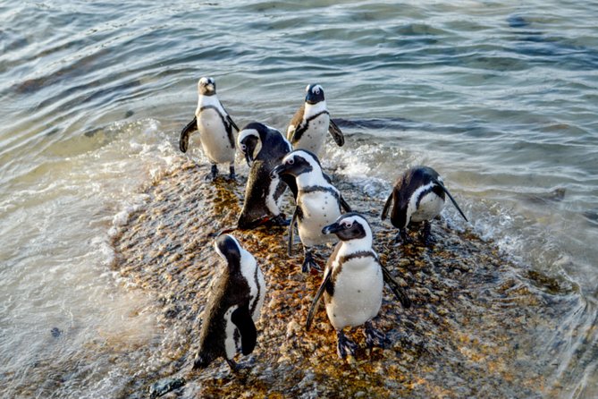 Private Cape of Good Hope Sightseeing and African Penguin Tour - Bo-Kaap’s bright streets and Cape Malay roots