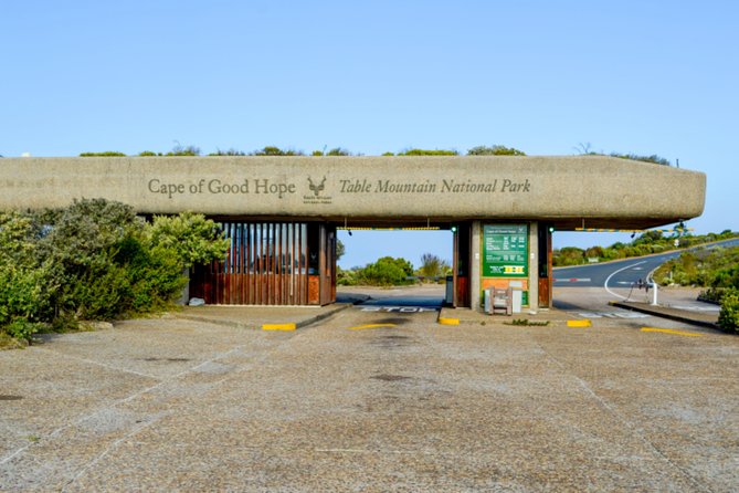 Private Cape of Good Hope Sightseeing and African Penguin Tour - Chapman’s Peak Drive and the road south