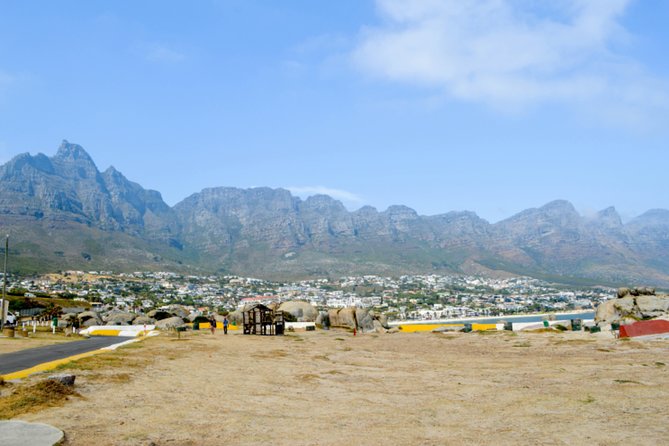 Private Cape of Good Hope Sightseeing and African Penguin Tour - Wine tasting at Cape Point Vineyards