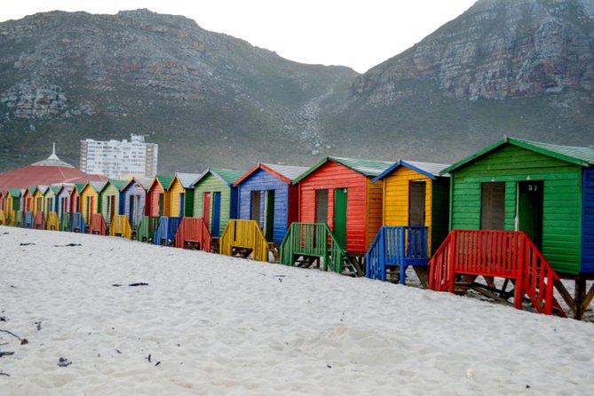 Private Cape of Good Hope Sightseeing and African Penguin Tour - Cape Point Nature Reserve and the Cape of Good Hope