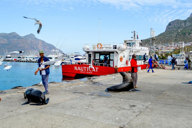 Private Cape of Good Hope Sightseeing and African Penguin Tour - Boulders Beach and the African penguin colony
