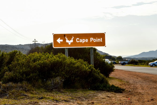 Private Cape of Good Hope Sightseeing and African Penguin Tour - Simon’s Town, Kalk Bay, and Muizenberg