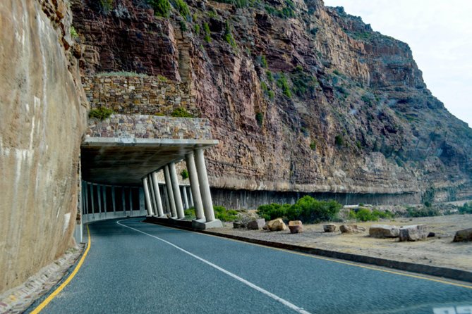 Private Cape of Good Hope Sightseeing and African Penguin Tour - What the $144.30 price really covers