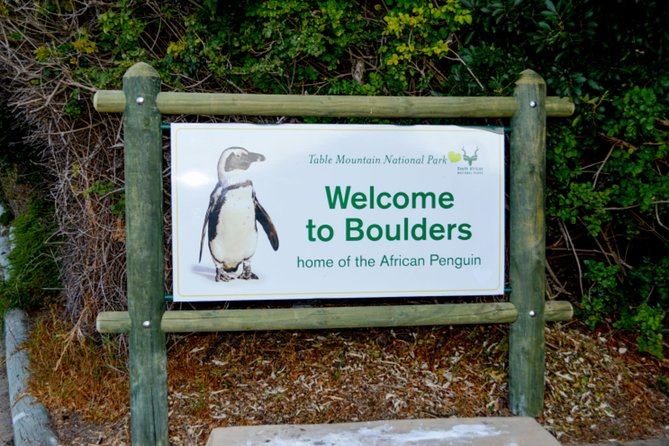 Private Cape of Good Hope Sightseeing and African Penguin Tour - Camps Bay and Hout Bay: beaches, mountains, and harbor time