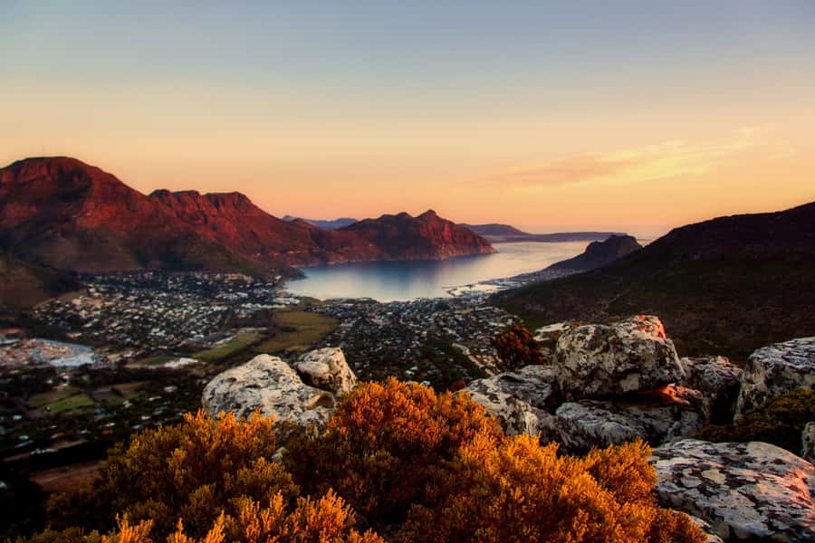 Private Cape Peninsula Half-Day Tour with Penguins - What this four-hour drive really covers